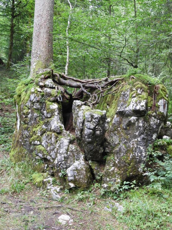 Appartamento Kraehenberg Am Rande Der Wildnis Sibratsgfäll Esterno foto