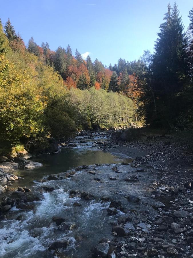 Appartamento Kraehenberg Am Rande Der Wildnis Sibratsgfäll Esterno foto